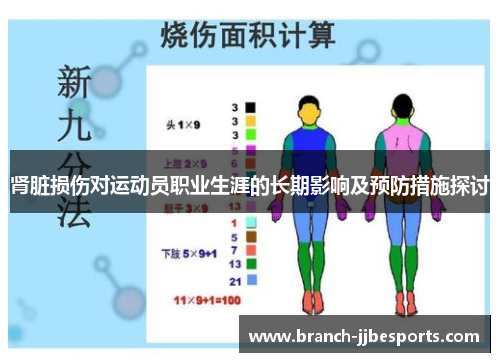 肾脏损伤对运动员职业生涯的长期影响及预防措施探讨