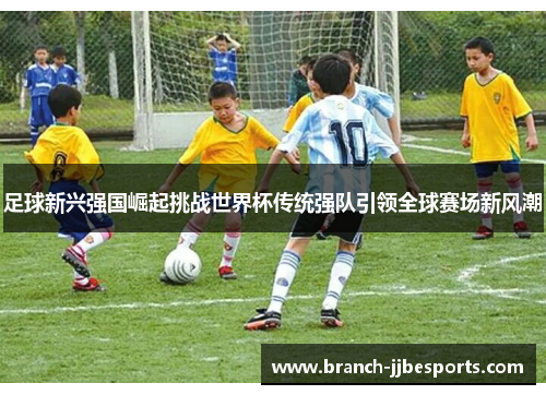 足球新兴强国崛起挑战世界杯传统强队引领全球赛场新风潮 足球新兴强国崛起挑战世界杯传统强队引领全球赛场新风潮