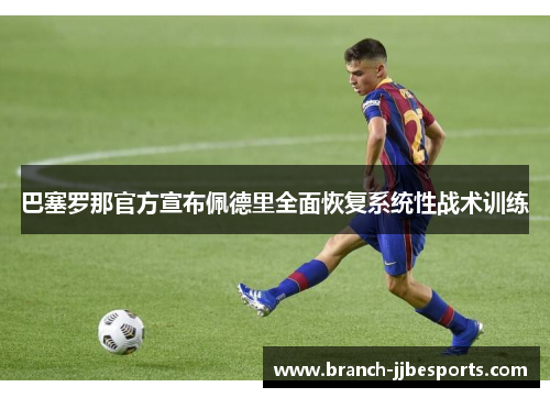 巴塞罗那官方宣布佩德里全面恢复系统性战术训练