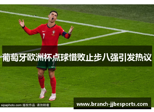葡萄牙欧洲杯点球惜败止步八强引发热议
